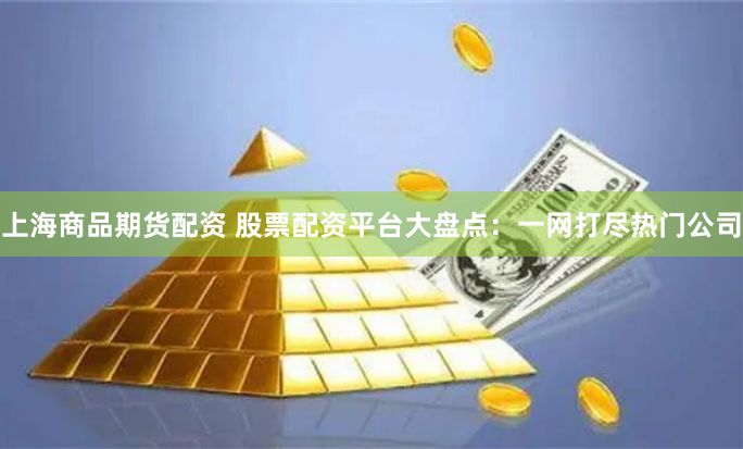 上海商品期货配资 股票配资平台大盘点：一网打尽热门公司