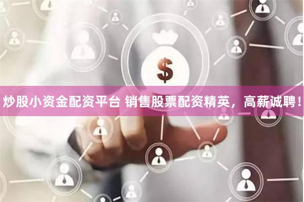 炒股小资金配资平台 销售股票配资精英，高薪诚聘！